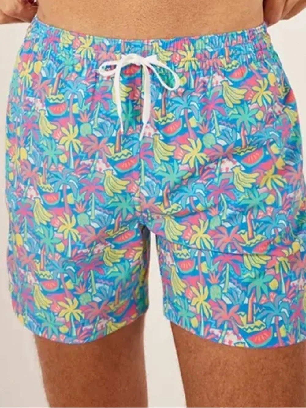 Chubbies “Blue Fruit” Swim trunks